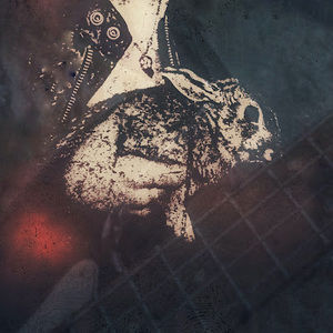 Meet your Posher, Calvin